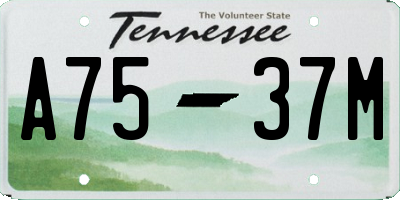 TN license plate A7537M