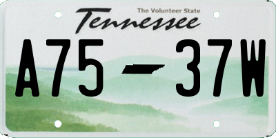 TN license plate A7537W