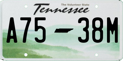 TN license plate A7538M