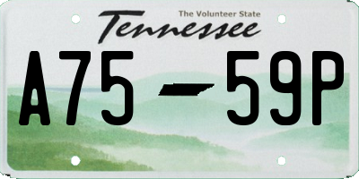 TN license plate A7559P