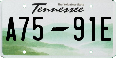 TN license plate A7591E