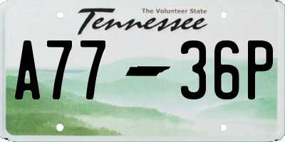 TN license plate A7736P