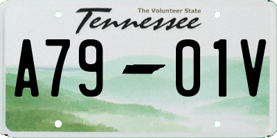 TN license plate A7901V