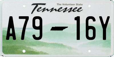 TN license plate A7916Y