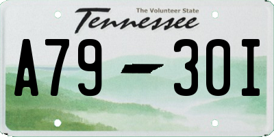 TN license plate A7930I