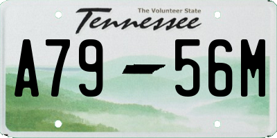 TN license plate A7956M