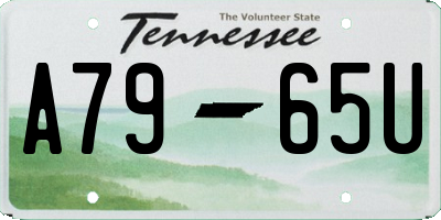 TN license plate A7965U