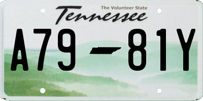 TN license plate A7981Y