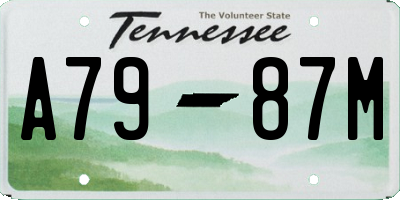 TN license plate A7987M