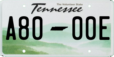 TN license plate A8000E