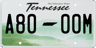 TN license plate A8000M