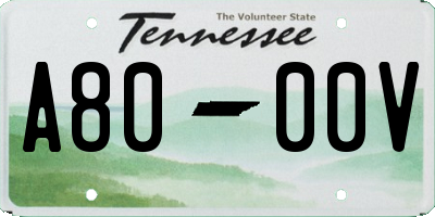 TN license plate A8000V