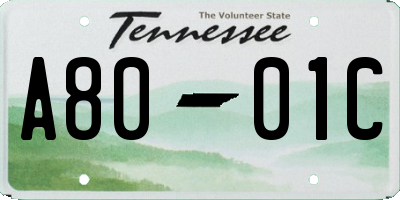 TN license plate A8001C
