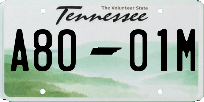 TN license plate A8001M