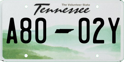 TN license plate A8002Y