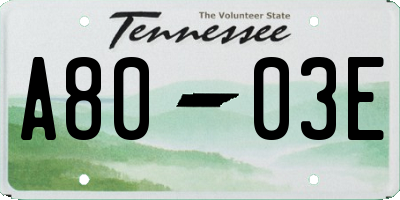 TN license plate A8003E