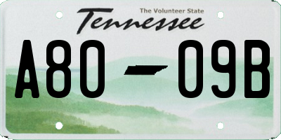 TN license plate A8009B