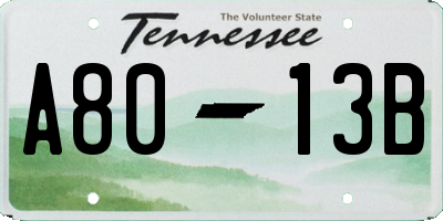 TN license plate A8013B