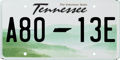 TN license plate A8013E