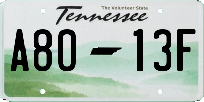 TN license plate A8013F