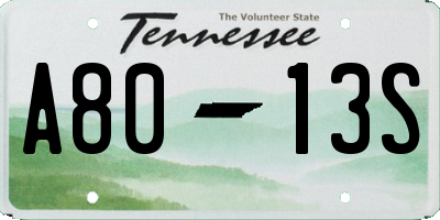 TN license plate A8013S