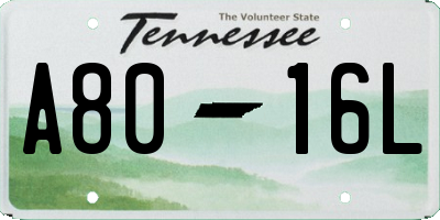 TN license plate A8016L
