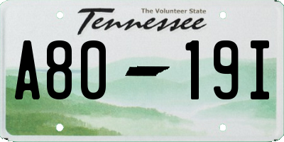 TN license plate A8019I