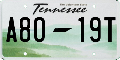 TN license plate A8019T