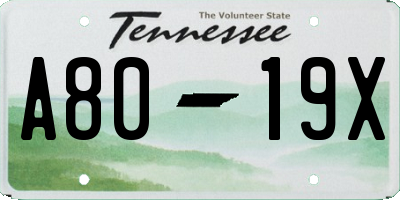 TN license plate A8019X