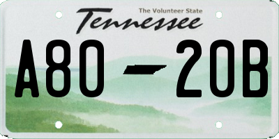 TN license plate A8020B