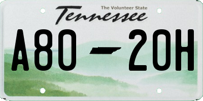 TN license plate A8020H