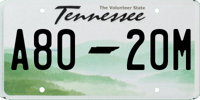 TN license plate A8020M