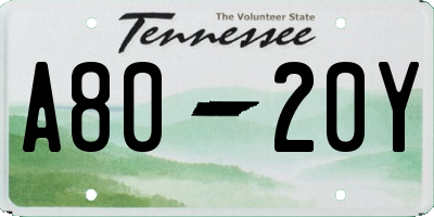 TN license plate A8020Y