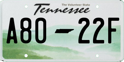 TN license plate A8022F