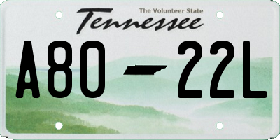 TN license plate A8022L