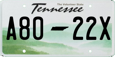 TN license plate A8022X