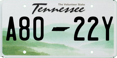 TN license plate A8022Y