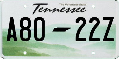 TN license plate A8022Z