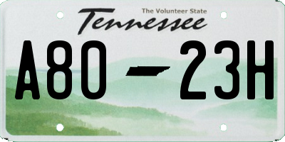 TN license plate A8023H