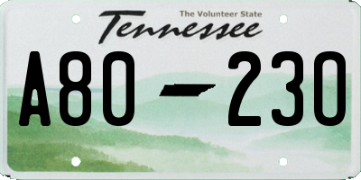 TN license plate A8023O