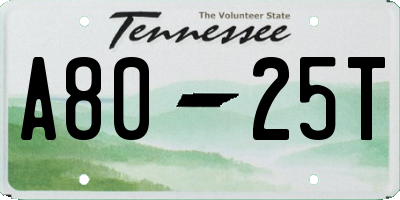 TN license plate A8025T