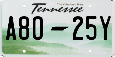 TN license plate A8025Y