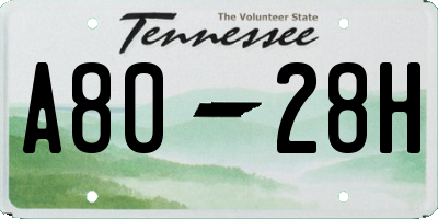 TN license plate A8028H