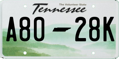TN license plate A8028K