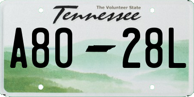 TN license plate A8028L