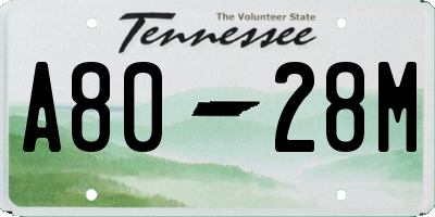 TN license plate A8028M