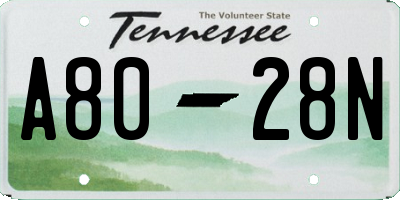 TN license plate A8028N