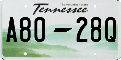 TN license plate A8028Q