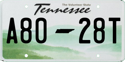 TN license plate A8028T