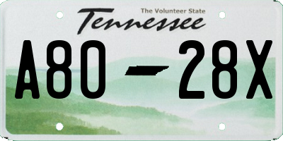 TN license plate A8028X